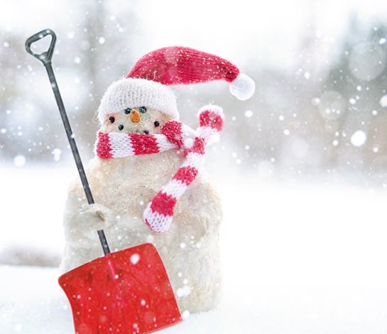 bonhomme neige 545x471 1